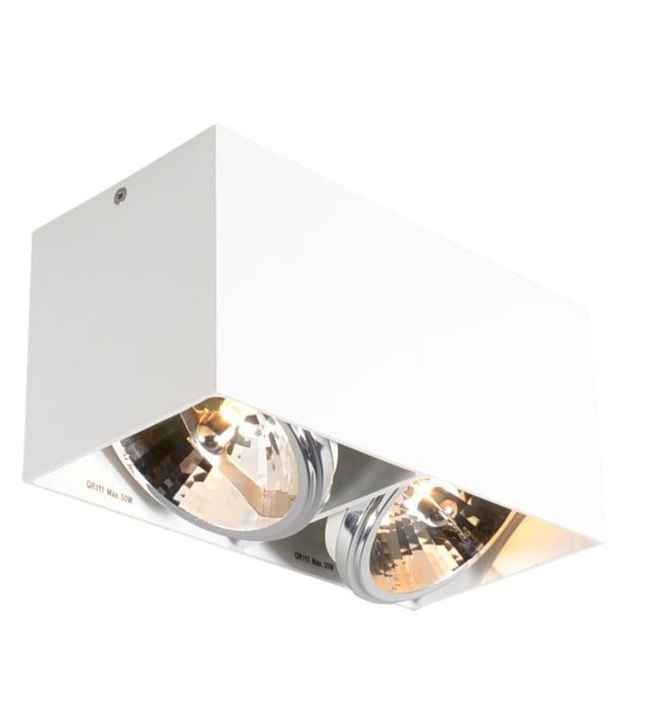 Lampa sufitowa Box biała 2 punktowa ruchoma typu downlight