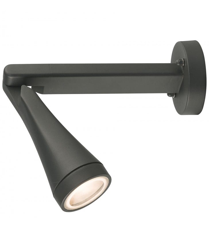 Lampa ścienno sufitowa do ogrodu Ottawa grafitowa z ruchomym kloszem nowoczesna IP44
